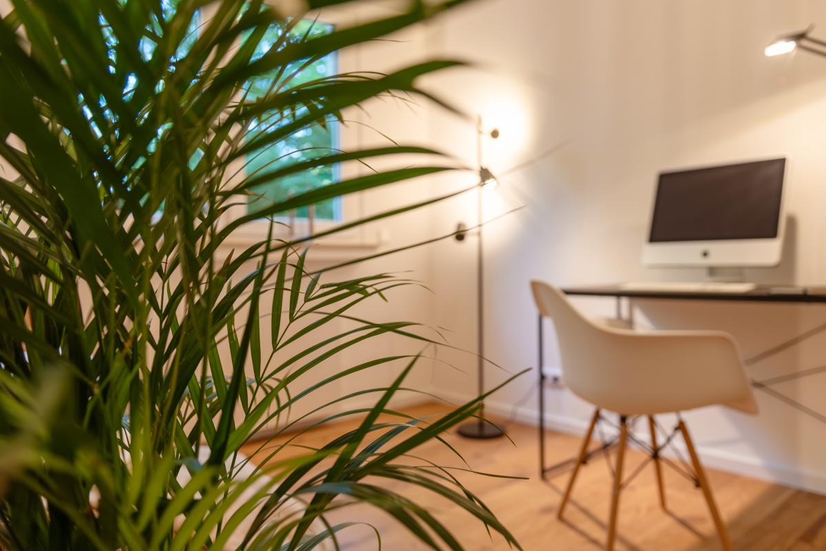 Modern eingerichteter Wohnraum als Beispiel für Wertsteigerung durch Home Staging